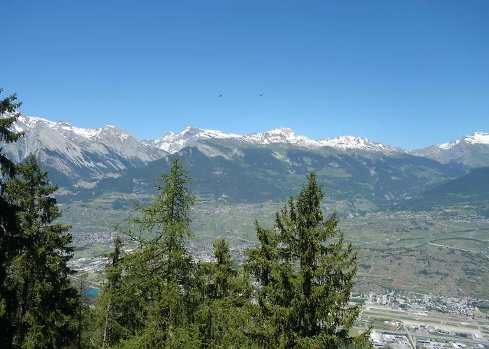 Melezes K 040 - & Nature 10 Pers 베이소나츠